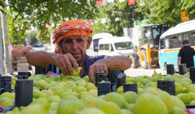 Bardakçık inciri, İzmirli çiftçilerin kooperatif gücü ile değer buldu