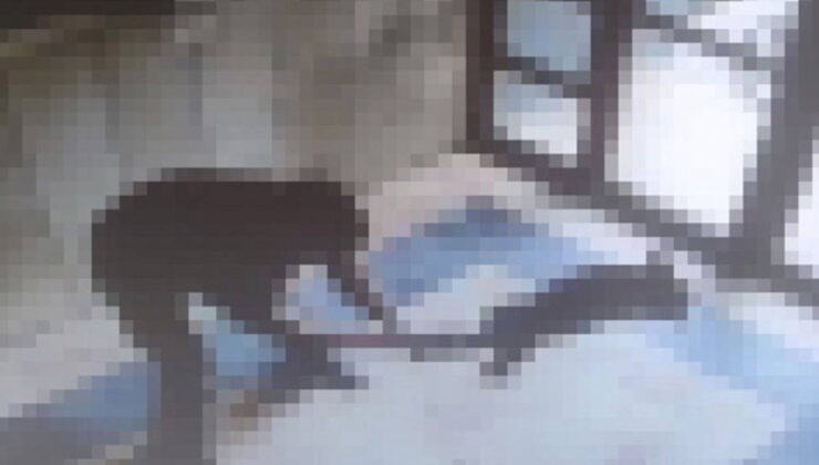 Başakşehir’de kediye işkence ederek öldüren kişi gözaltına alındı; Bakan Tunç açıklama yaptı