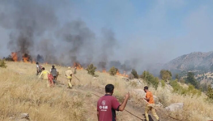 Bingöl’de orman yangını… Ekiplerin müdahalesi sürüyor!
