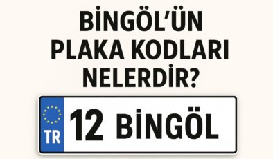 Bingöl’ün plaka kodu ne? Bingöl’ün plaka numarası kaç? Bingöl ve ilçelerinin plaka harfleri…
