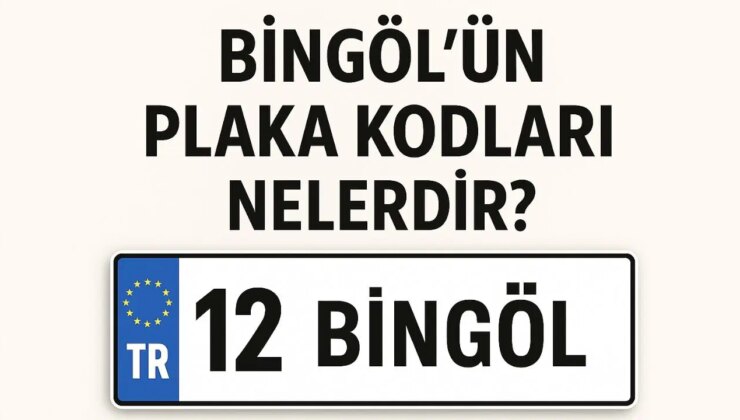 Bingöl’ün plaka kodu ne? Bingöl’ün plaka numarası kaç? Bingöl ve ilçelerinin plaka harfleri…
