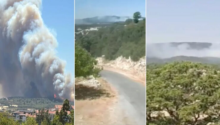 Bolu, Çanakkale, Manisa ve Mersin’de orman yangını!