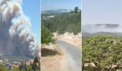 Bolu, Çanakkale ve Mersin’de orman yangını!
