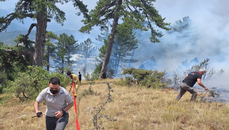 Bolu Göynük’te orman yangını