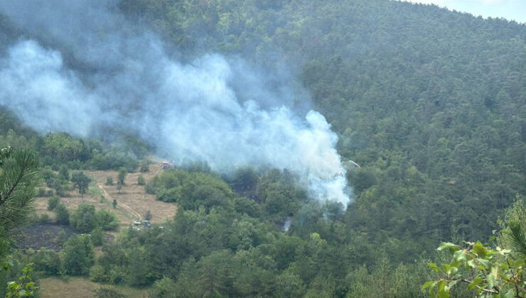 Bolu’da orman yangını: Ekipler müdahale ediyor!
