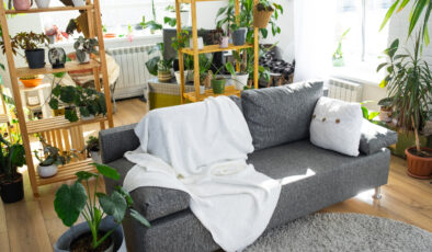 Bu bitkileri evinizde bulundurmayın: Zehirliyor