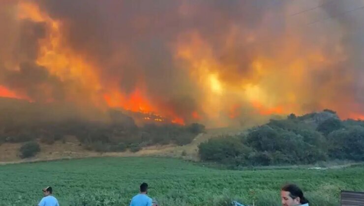 Bursa Valiliği duyurdu: Yenişehir’deki yangın kontrol altına alındı