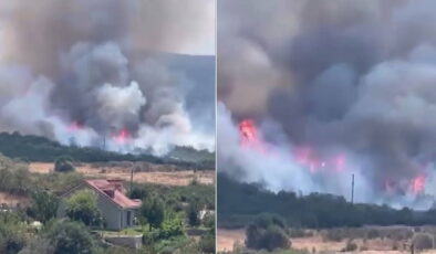 Bursa’da orman yangını: Ekipler müdahale ediyor!