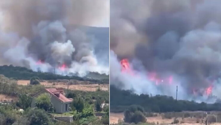 Bursa’da orman yangını: Ekipler müdahale ediyor!