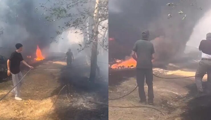 Bursa’da ot yangınında 20 dönüm alan zarar gördü