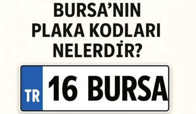 Bursa’nın plaka kodu ne? Bursa’nın plaka numarası kaç? Bursa ve ilçelerinin plaka harfleri…