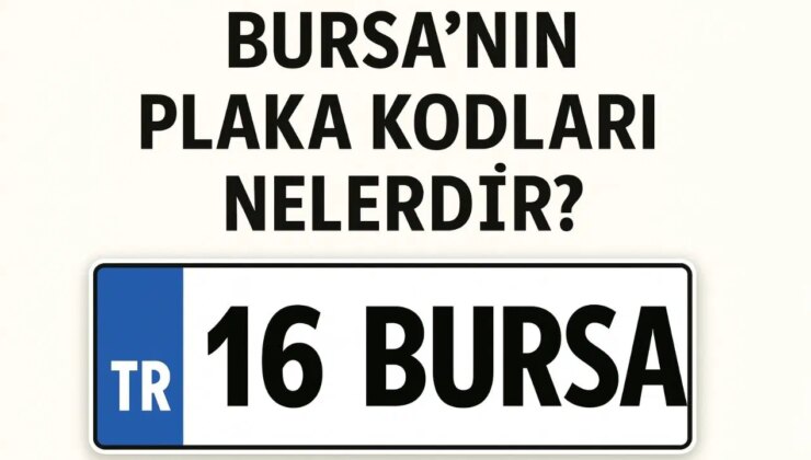 Bursa’nın plaka kodu ne? Bursa’nın plaka numarası kaç? Bursa ve ilçelerinin plaka harfleri…