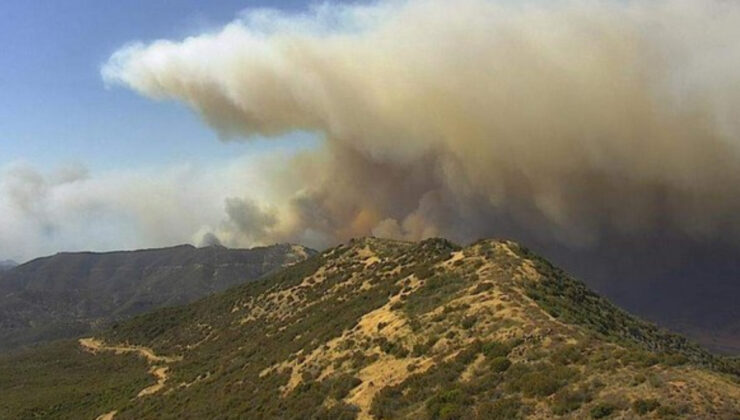 California’da orman yangını: 12 bin hektar kül oldu