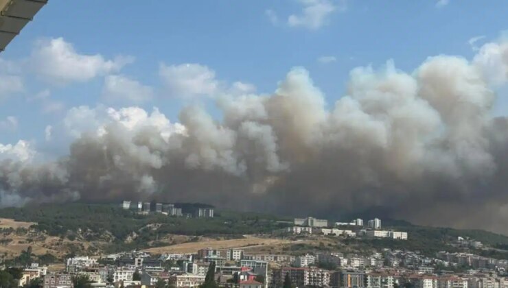 Çanakkale orman yangını: Gözaltına alınan şüpheliler serbest bırakıldı!