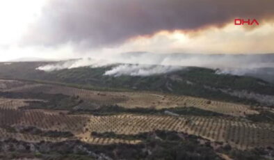 Çanakkale yangınında son durum: Yangının bıraktığı tahribat havadan görüntülendi!