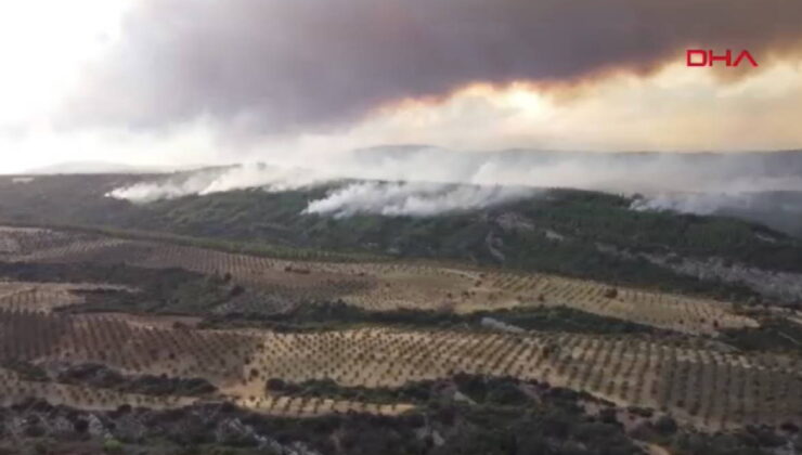 Çanakkale yangınında son durum: Yangının bıraktığı tahribat havadan görüntülendi!