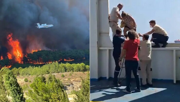 Çanakkale’de yangın evlerin olduğu bölgeye geldi: Yurttaşlar feribotlarla tahliye ediliyor!