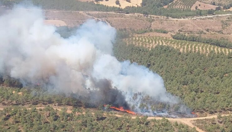 Çanakkale’de yine orman yangını: Kazdağları tehdit altında!