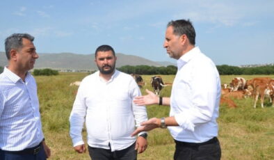 CHP heyeti, Ardahan’da şap hastalığından zarar gören üreticileri ziyaret etti: Afet bölgesi ilan edilmeli