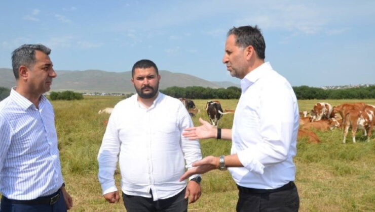 CHP heyeti, Ardahan’da şap hastalığından zarar gören üreticileri ziyaret etti: Afet bölgesi ilan edilmeli