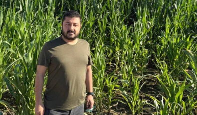 CHP’li Baran Yazgan’dan iktidara ayçiçeği tepkisi: ‘Çiftçiyi değil, ithalatçıyı tercih ettiler’