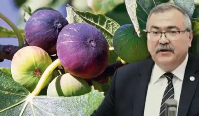 CHP’li vekil isyan etti: ‘Markette yüzde 700’ün üzerinde fiyat farkıyla satılıyor’