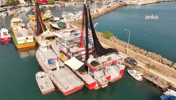 Denizlerde av yasağı sona eriyor… Sinoplu balıkçı Ertan Akbaş: “Balıkçılığın bir bakanlığı olması gerekiyor”