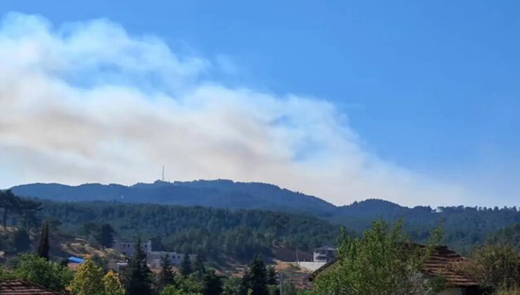 Denizli’de çıkan orman yangınına müdahale sürüyor