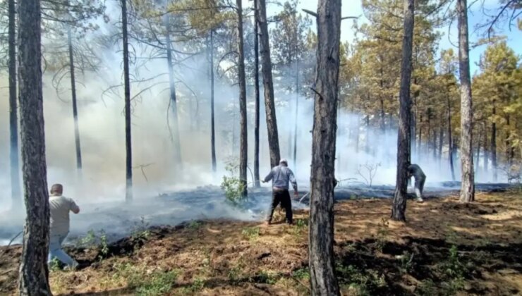 Denizli’de orman yangını!