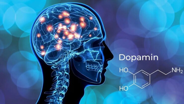 Depresyonla mücadelede yeni umut: İnsan hücreleri farelere aktarıldı