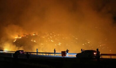 Diyarbakır’da 3 ayrı noktada çıkan yangın kontrol altına alındı: 230 hektar alan zarar gördü!