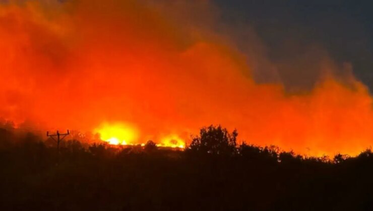 Diyarbakır’da ormanlık alanda çıkan yangın söndürüldü