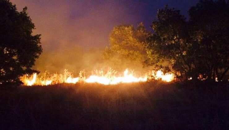 Diyarbakır’da ormanlık alanda yangın çıktı