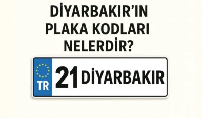 Diyarbakır’ın plaka kodu ne? Diyarbakır’ın plaka numarası kaç? Diyarbakır ve ilçelerinin plaka harfleri…