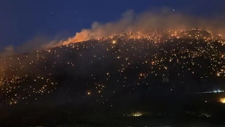 Doğa alevlerle mücadelede: Malatya, Denizli ve Sivas’ta orman yangınları