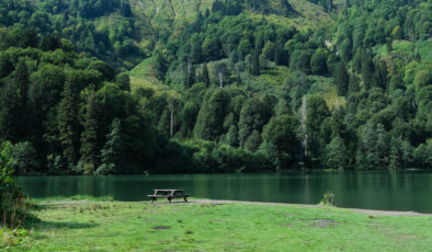 Doğallıkları büyülüyor: Türkiye’nin en yeşil şehirleri