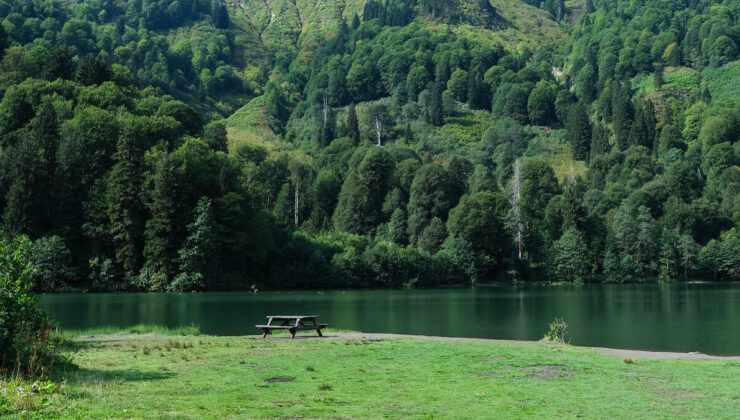 Doğallıkları büyülüyor: Türkiye’nin en yeşil şehirleri