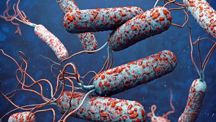 DSÖ ‘riski çok yüksek’ diyerek duyurdu: 31 ülkede kolera alarmı!