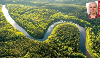 Dünya genelindeki akarsularda ağır metal oranı iki kattan fazla arttı: Cıva nehirleri kirletiyor