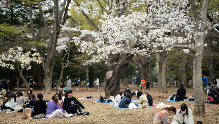 Dünya’da en çok ziyaret edilen 6 şehir