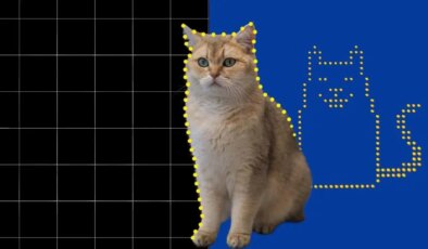 Dünyanın en küçük kedi videosu oluşturuldu