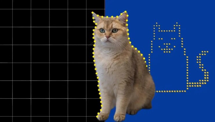 Dünyanın en küçük kedi videosu oluşturuldu