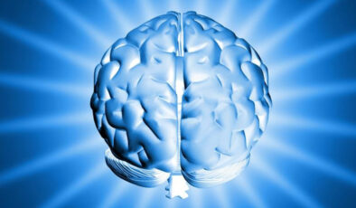 Dünyanın en yüksek IQ’suna sahip ülkeler