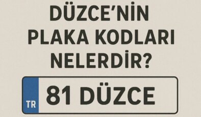 Düzce’nin plaka kodu ne? Düzce’nin plaka numarası kaç? Düzce ve ilçelerinin plaka harfleri…