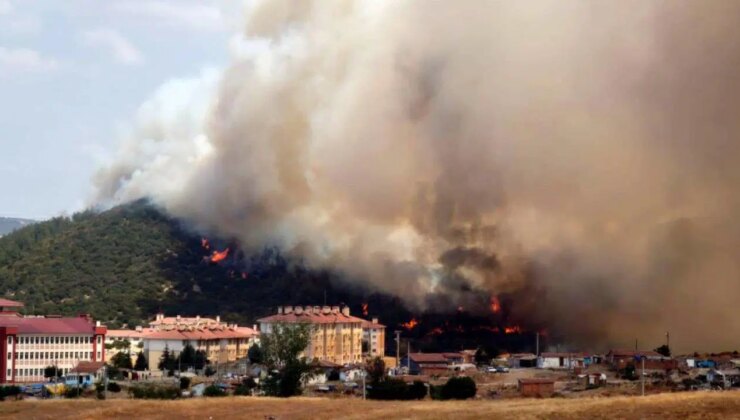 Edirne’de makilikte çıkan yangın, tarlaya sıçradı!