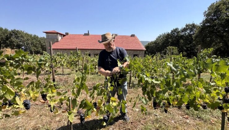 Emekli olduktan sonra hayalini gerçekleştirdi! 20 dönümde üretime başladı: 6 ton hasat bekliyor