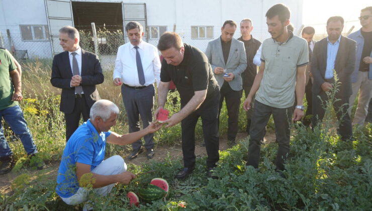 Erzincan’ın bereketli topraklarında üretiliyor:  Hem üreticilerin hem tüketicilerin yüzünü güldürüyor…