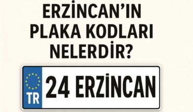 Erzincan’ın plaka kodu ne? Erzincan’ın plaka numarası kaç? Erzincan ve ilçelerinin plaka harfleri…
