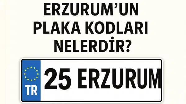 Erzurum’un plaka kodu ne? Erzurum’un plaka numarası kaç? Erzurum ve ilçelerinin plaka harfleri…