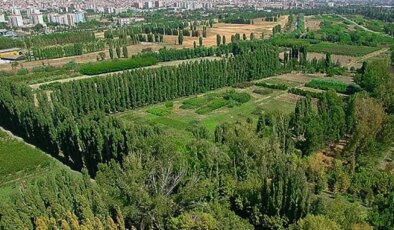 Eski Bakan Koca’nın Medipol’üne tahsis edilen arazinin altından Kenan Evren çıktı!